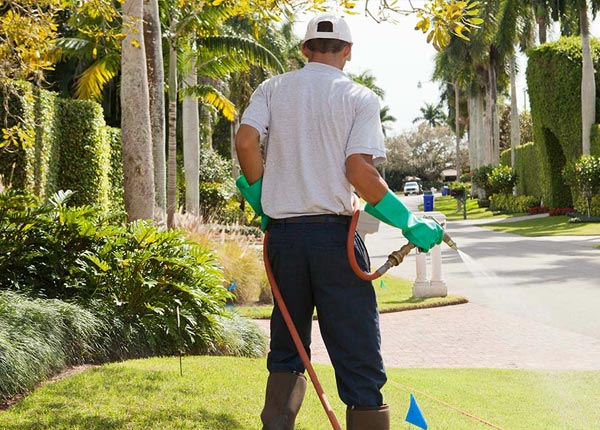 About Schaumburg IL Pest Control